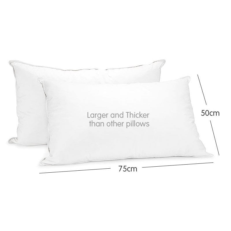 White Duck Down Feather Pillow - 2 Pack