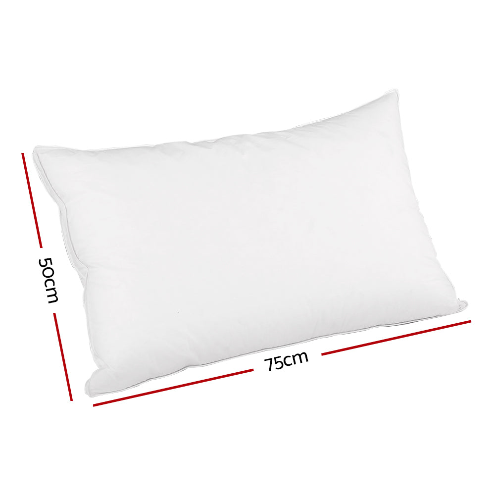 Goose/Down Feather - 2 Pack Pillow (wall)