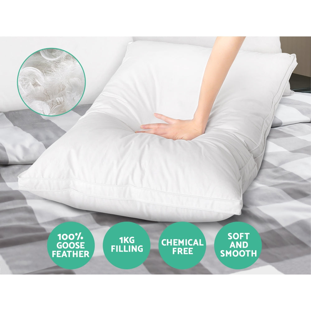 Goose/Down Feather - 2 Pack Pillow (wall)